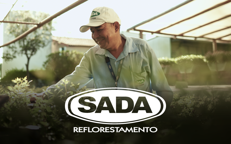 SADA Reflorestamento